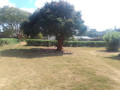 spacious-property-for-sale-in-rhodes-park-near-addis-ababa-roundabout-small-3