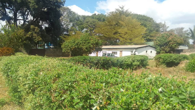 spacious-property-for-sale-in-rhodes-park-near-addis-ababa-roundabout-big-0