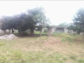 177x70m-land-for-sale-in-foxdale-with-two-properties-small-5