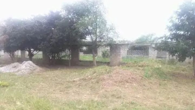 177x70m-land-for-sale-in-foxdale-with-two-properties-big-5