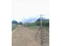 177x70m-land-for-sale-in-foxdale-with-two-properties-small-1