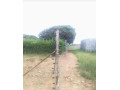 177x70m-land-for-sale-in-foxdale-with-two-properties-small-4