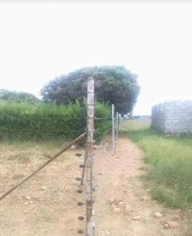 177x70m-land-for-sale-in-foxdale-with-two-properties-big-4