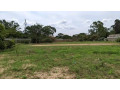 kabulonga-fenced-plot-for-sale-with-title-small-3