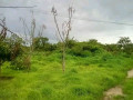 farm-land-for-sale-two-separate-properties-small-0