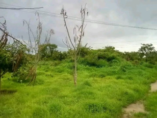 FARM LAND FOR SALE - Two Separate Properties