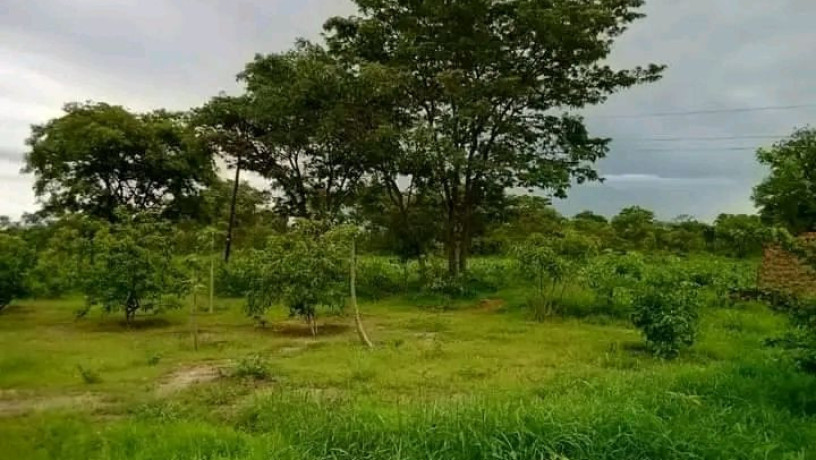 farm-land-for-sale-two-separate-properties-big-1