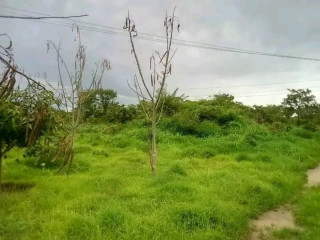 farm-land-for-sale-two-separate-properties