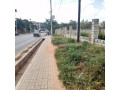 plot-for-sale-along-alick-nkhata-road-small-0
