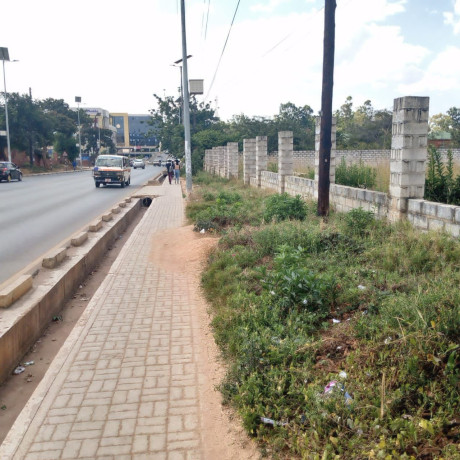 plot-for-sale-along-alick-nkhata-road-big-0