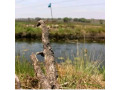 vast-commercial-land-in-mkushi-90-hectares-small-0