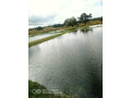vast-commercial-land-in-mkushi-90-hectares-small-6
