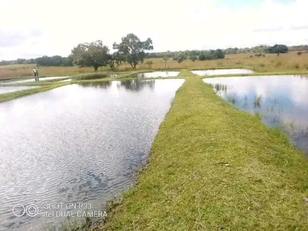 vast-commercial-land-in-mkushi-90-hectares-big-4