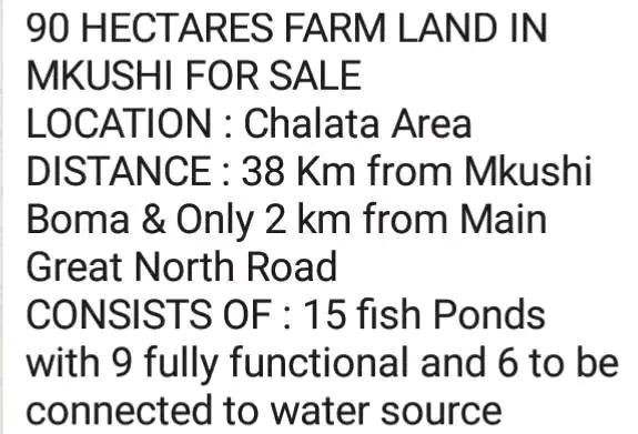 vast-commercial-land-in-mkushi-90-hectares-big-3