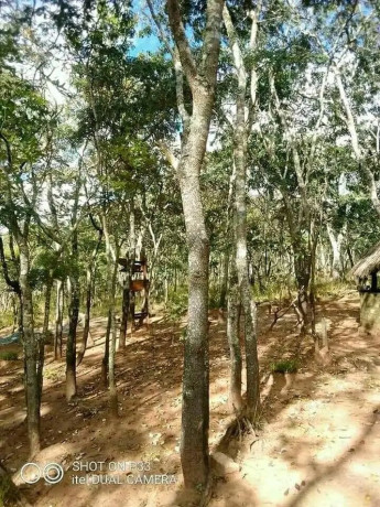 vast-commercial-land-in-mkushi-90-hectares-big-1