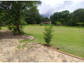 woodlands-4-bedroom-house-for-rent-small-5