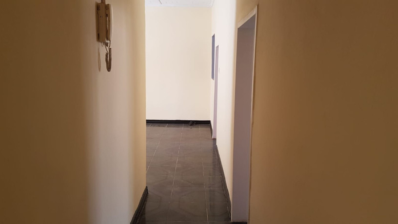 2-bed-flat-for-rent-along-alick-nkhata-road-big-5