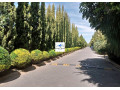 2-bedroom-stand-alone-house-for-rent-in-green-park-small-3