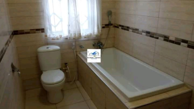 executive-3-bedroomed-fully-furnished-apartment-for-rent-near-east-park-mall-big-3