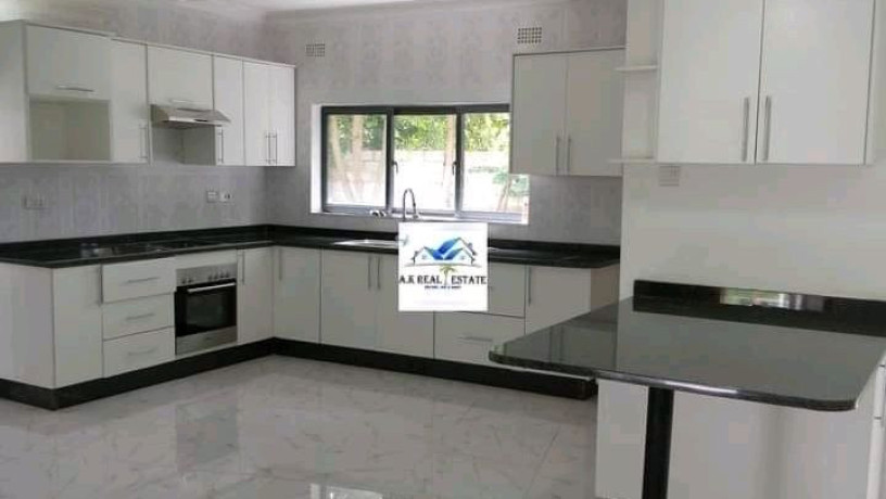 executive-4-bedroomed-furnishedunfurnished-apartment-for-rent-big-1