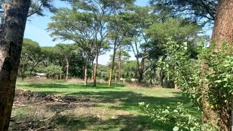 56-acres-land-with-houses-for-sale-in-eureka-big-1