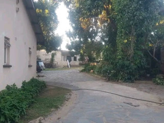 property-for-sale-in-olympia