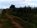 5-acres-road-front-land-for-sale-small-1