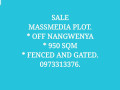 plot-for-sale-in-mass-media-small-2