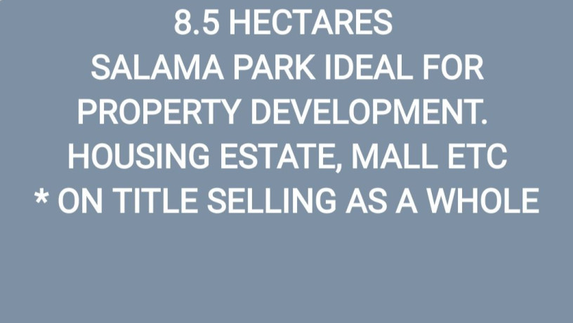 85-hectares-of-land-in-salama-park-big-4