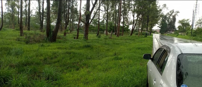 85-hectares-of-land-in-salama-park-big-0