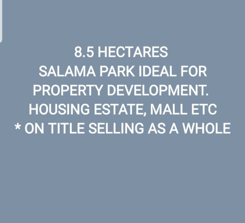 85-hectares-of-land-in-salama-park-big-4