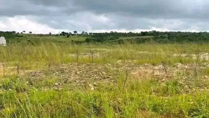 new-kasama-farm-land-for-sale-big-1