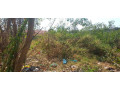 plot-for-sale-in-chudleigh-small-3