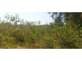 plot-for-sale-in-chudleigh-small-2
