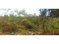 plot-for-sale-in-chudleigh-small-4