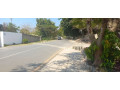 plot-for-sale-in-chudleigh-small-6
