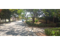 plot-for-sale-in-chudleigh-small-5