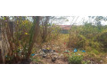 plot-for-sale-in-chudleigh-small-8