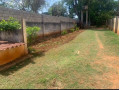 plot-deal-not-to-miss-in-kabulonga-main-small-2