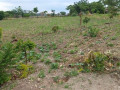 plots-for-sale-in-chilanga-mt-makulu-small-0