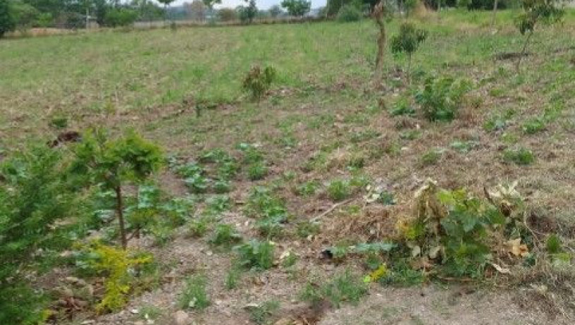 plots-for-sale-in-chilanga-mt-makulu-big-1