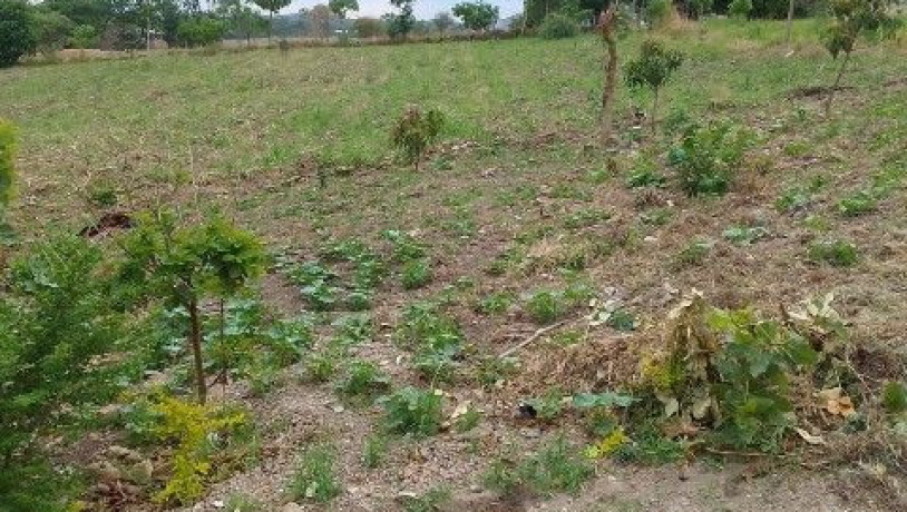 plots-for-sale-in-chilanga-mt-makulu-big-0