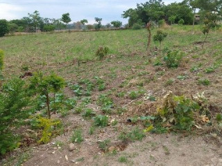 plots-for-sale-in-chilanga-mt-makulu