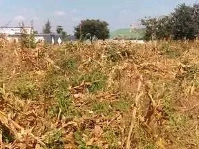 quick-sale-lusaka-south-plot