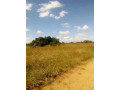spacious-plot-for-sale-small-0