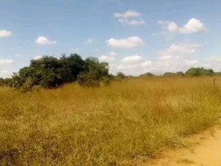 spacious-plot-for-sale