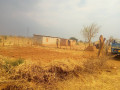 land-with-houses-and-piggery-structure-for-sale-small-7