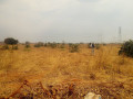 land-with-houses-and-piggery-structure-for-sale-small-1