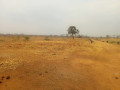 land-with-houses-and-piggery-structure-for-sale-small-3