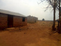 land-with-houses-and-piggery-structure-for-sale-small-4